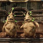 Nächster Entwickler-Livestream am 29. September um 20:00 Uhr