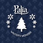 Roadmap Winter 2025 - Überall Schnee!