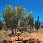 Kaktorsenke - Guide zum Dungeon