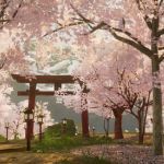 Den Fotomodus verwenden - so geht's!