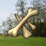 Knochen finden - Sammel-Guide