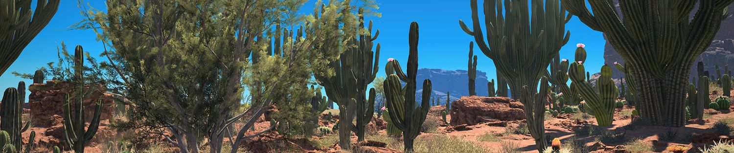 Kaktorsenke - Guide zum Dungeon