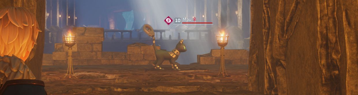 Mau - Fundorte, Stärken und Schwächen