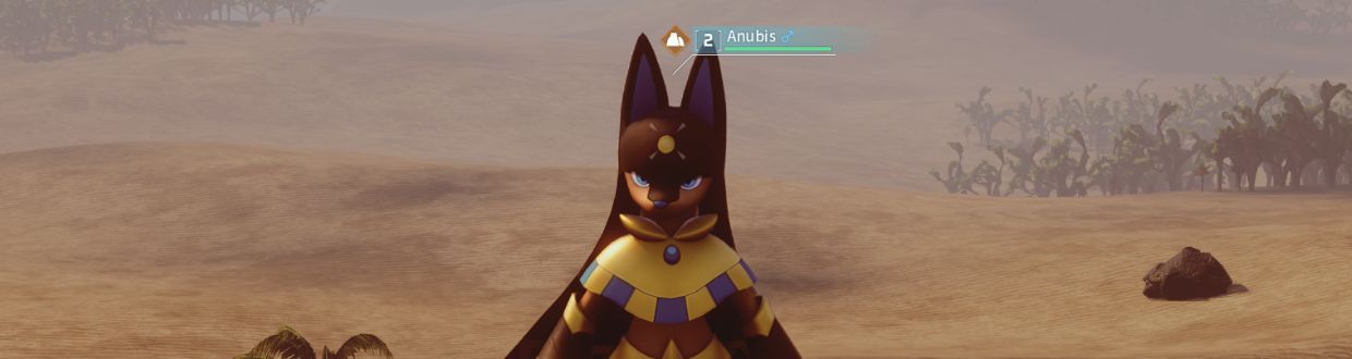 Anubis früh im Spiel bekommen - Zucht-Guide
