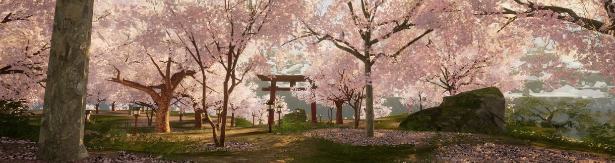 Den Fotomodus verwenden - so geht's!